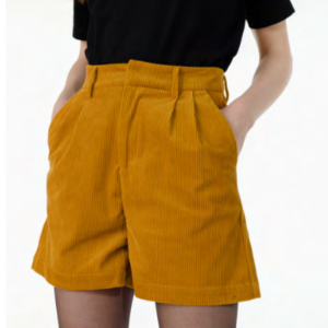 Shorte en velours