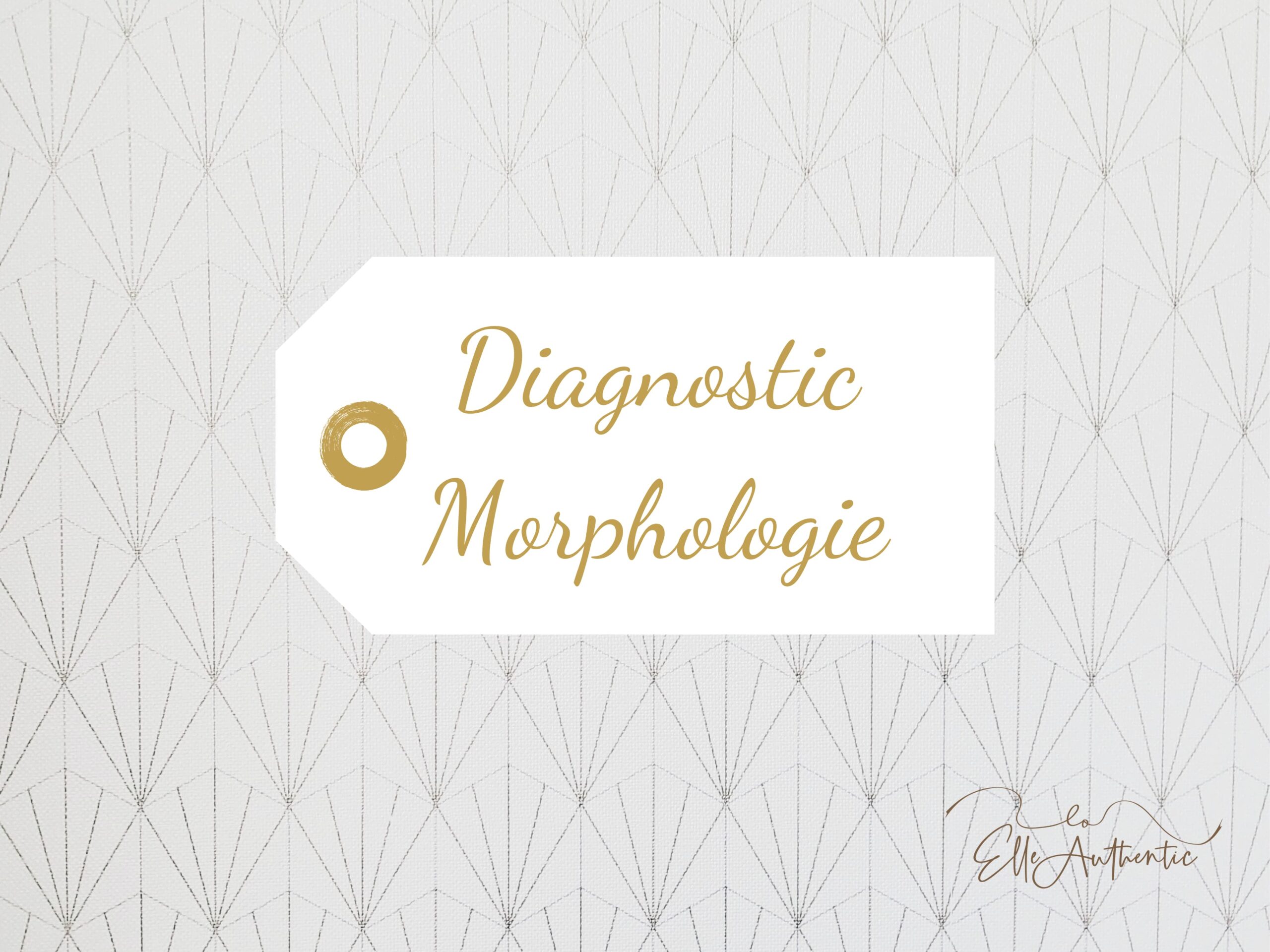 Diagnostic morphologie